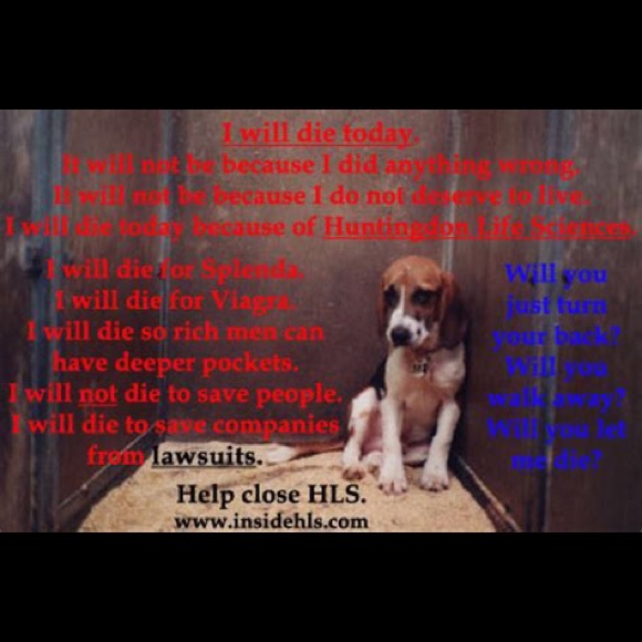 🦩🦦Meet your Posher, GuysGallery 🦧🦥 - Picture 3 of 5